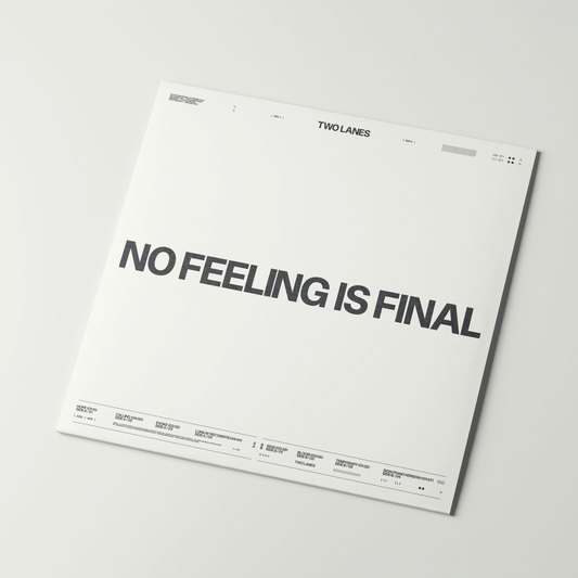 NO FEELING IS FINAL Vinyl